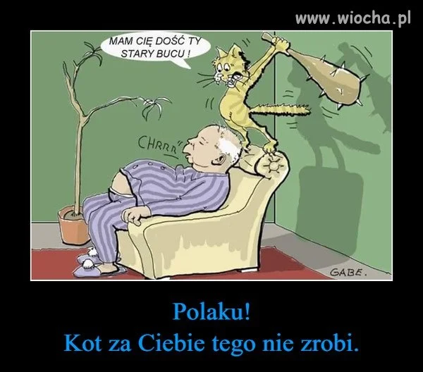 Wszyscy normalni mają go już dość ...