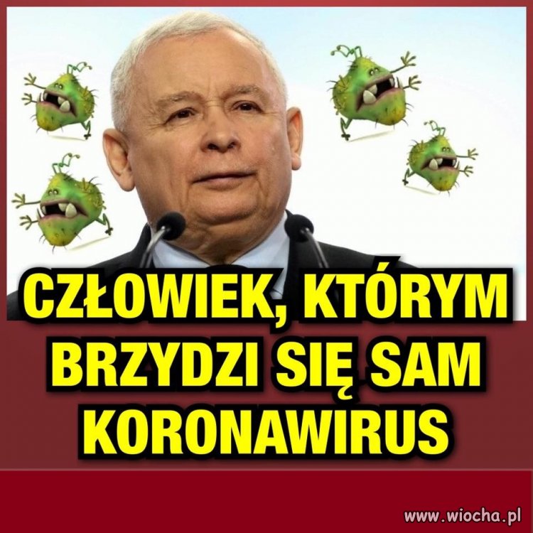 Złego licho nie bierze ...