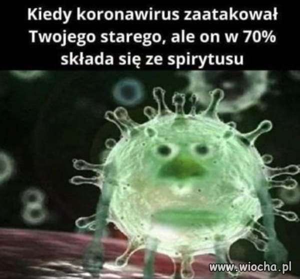 Koronawirus 