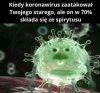 Koronawirus 