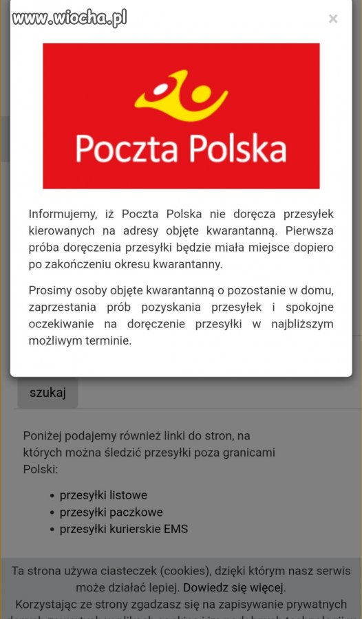 Karta do głosowania 