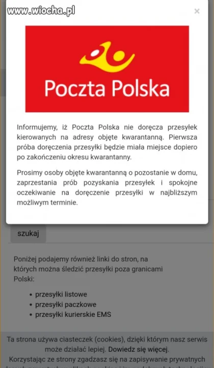 Karta do głosowania 