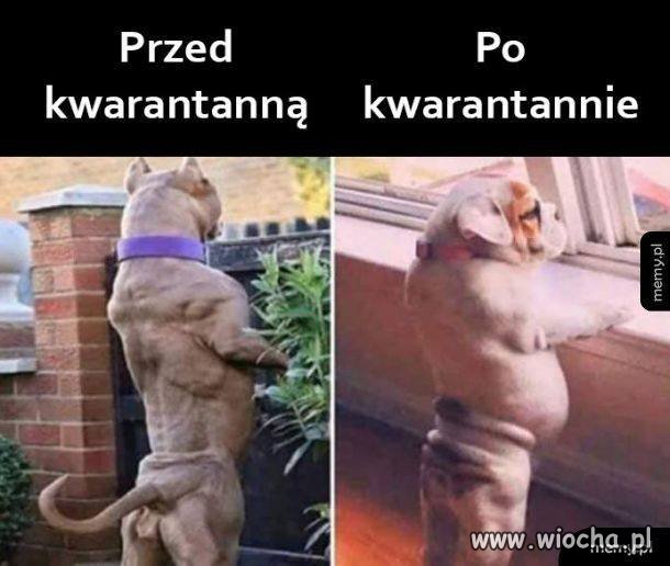 Przed