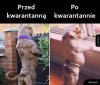 Przed