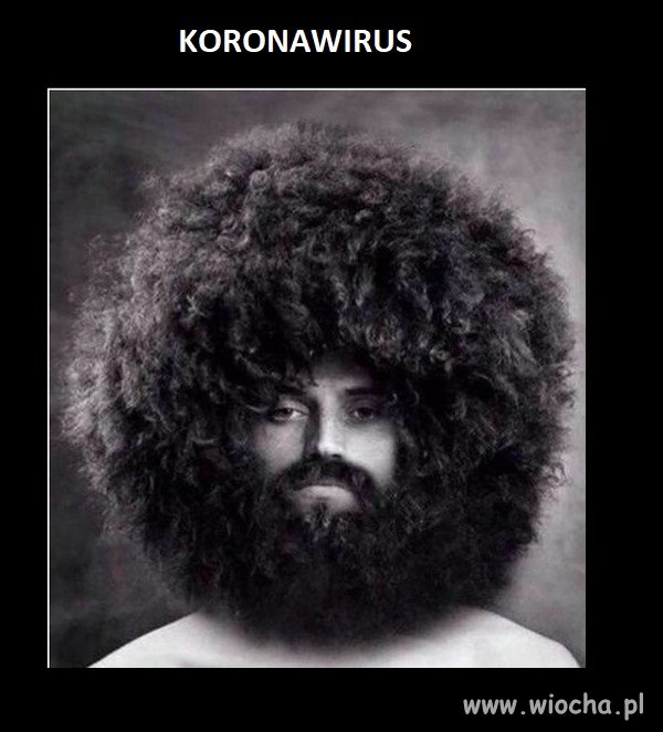 W powiększeniu