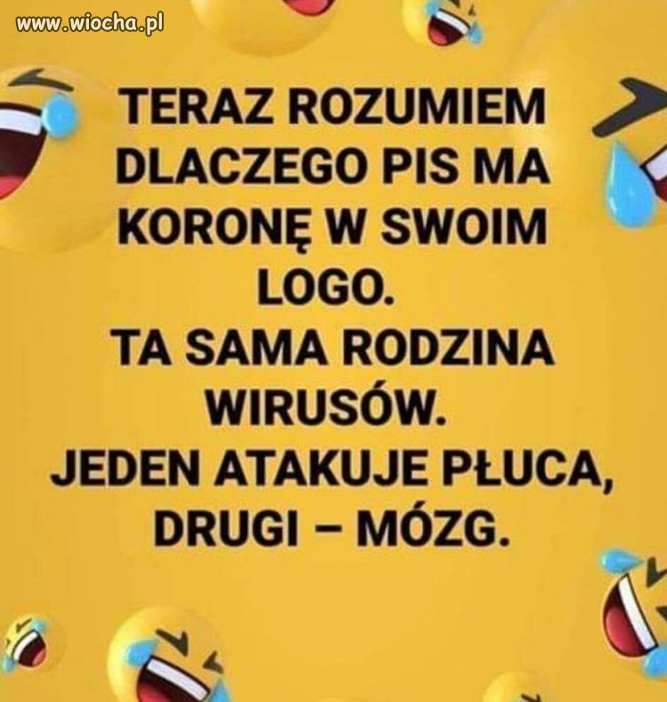 Nic dodać