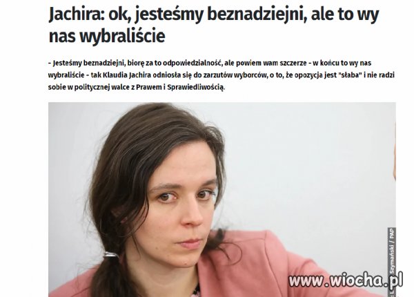 Wybawcy wasi