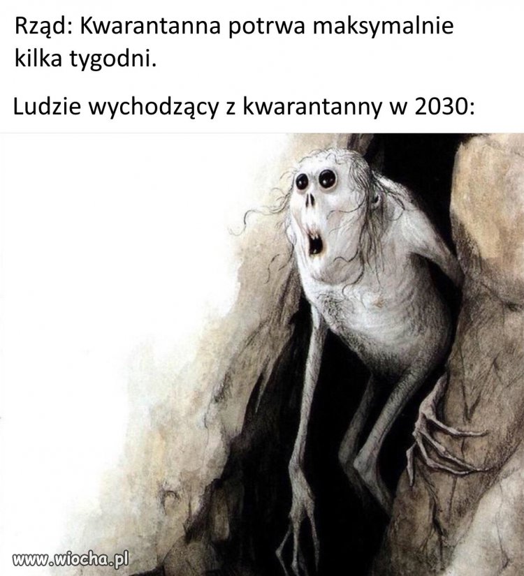 Polska 2030 rok