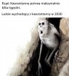 Polska 2030 rok