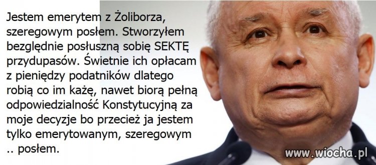 Podsumowując -> SEKTA