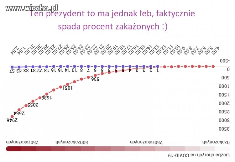 I to nie żaden inny tylko nasz