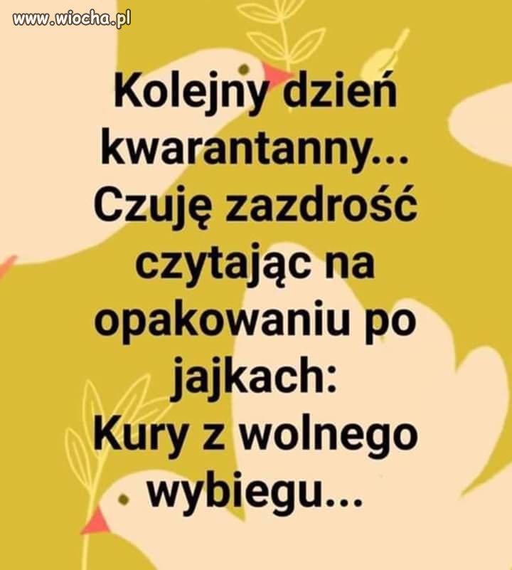 Bez komentarza