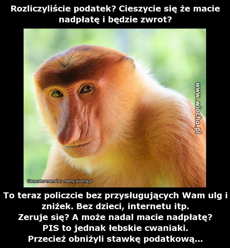 Rozliczyliście podatek? Cieszycie się że macie