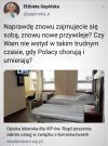 Pisowskie