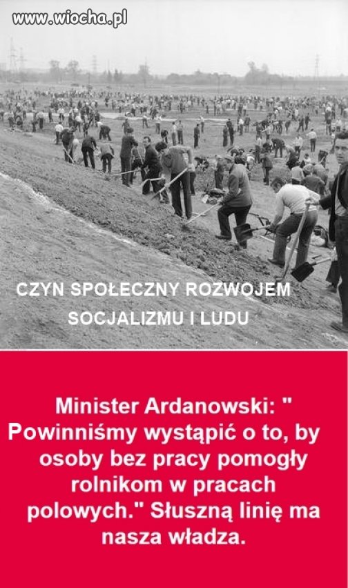 A jak już pokopią to niech zjedzą