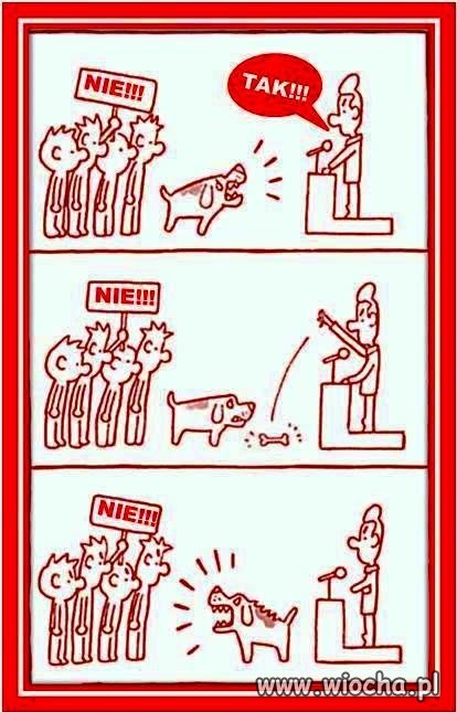 Tak działa polityka
