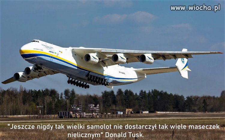 Bez tytułu.