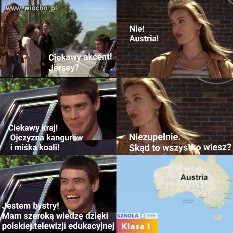 Edukacja w tvpis