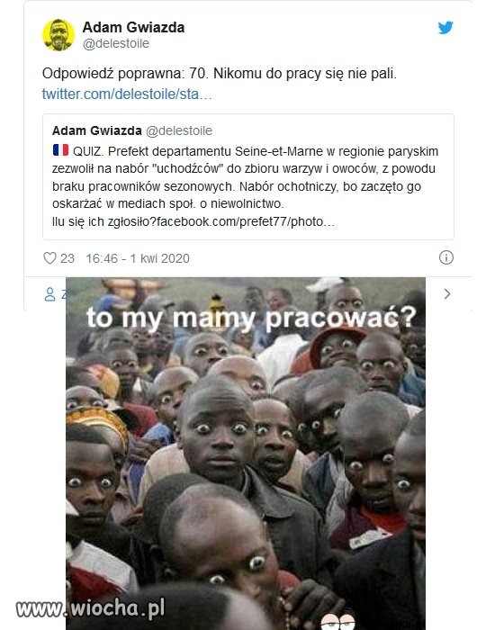 Francja ogłosiła nabór dla imigrantów do zbioru warzyw.