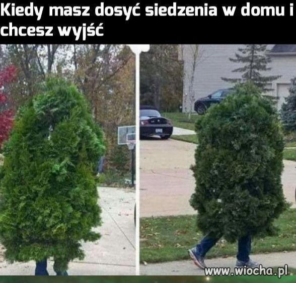 Kiedy masz dosyć 