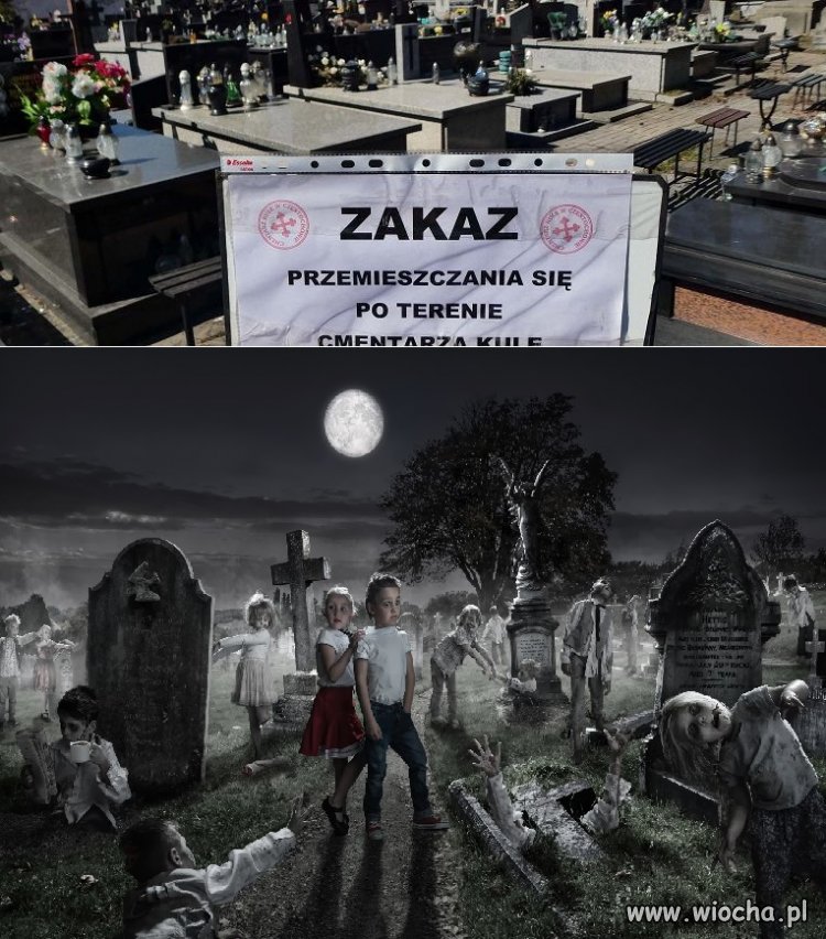 Nawet zombie mają kwarantannę
