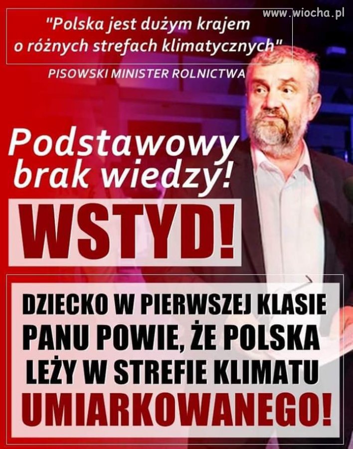 Kolejny
