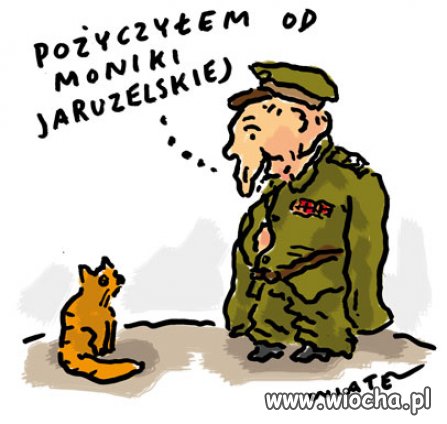 Nawet pasuje