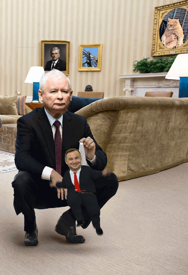 Rzeczywistość 