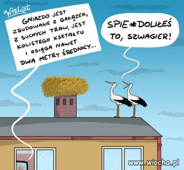 Kiedy szwagier