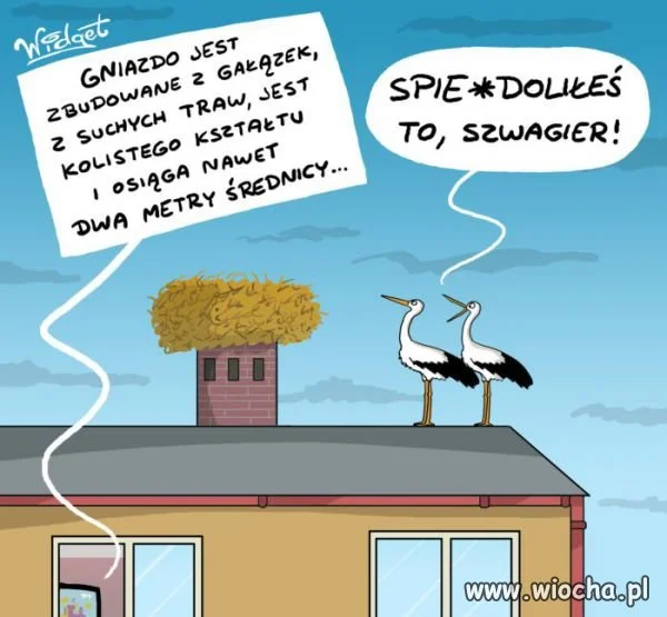 Kiedy szwagier