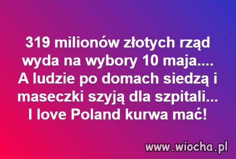 Wybory