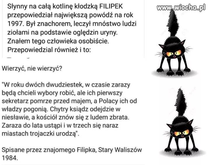 Trochę optymizmu w tych trudnych czasach ...