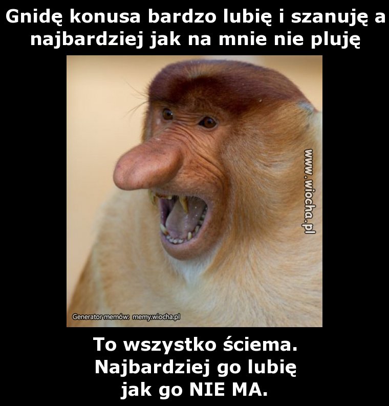 Gnidę konusa bardzo lubię i szanuję a najbardziej