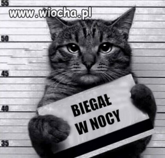 Uwaga na patrole