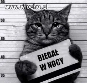 Uwaga na patrole