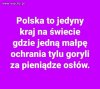 Czy ktoś się z tym 