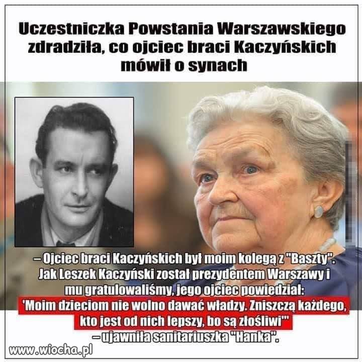 Coś w tym jest
