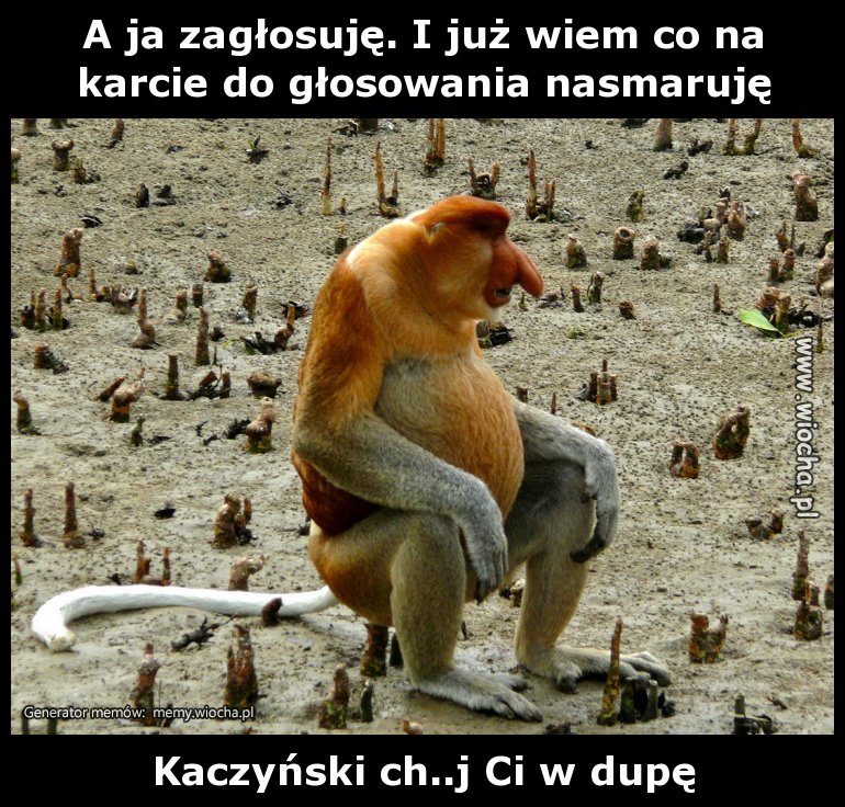 A ja zagłosuję. I już wiem co na karcie do
