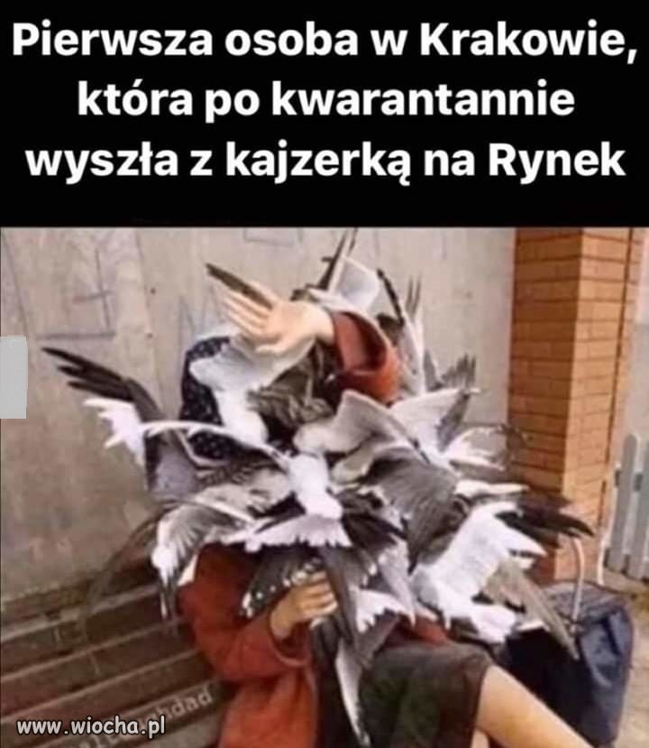 Coś w tym jest
