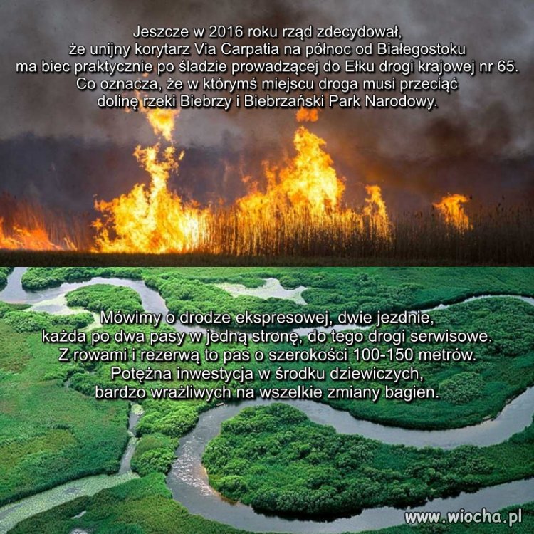 Jako przyczynę władze wskazują wypalanie traw