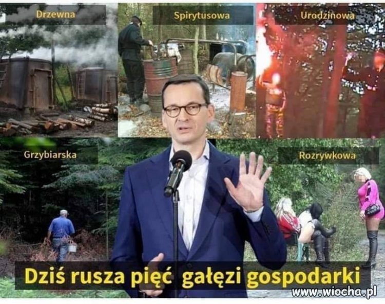 Ruszyła gospodarka