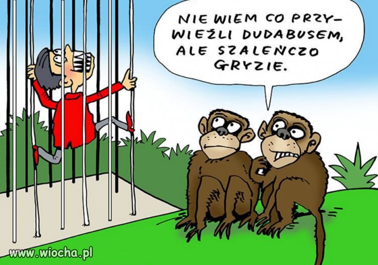 Temat zbędny