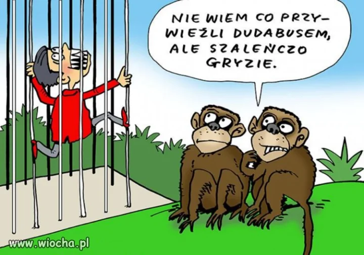 Temat zbędny