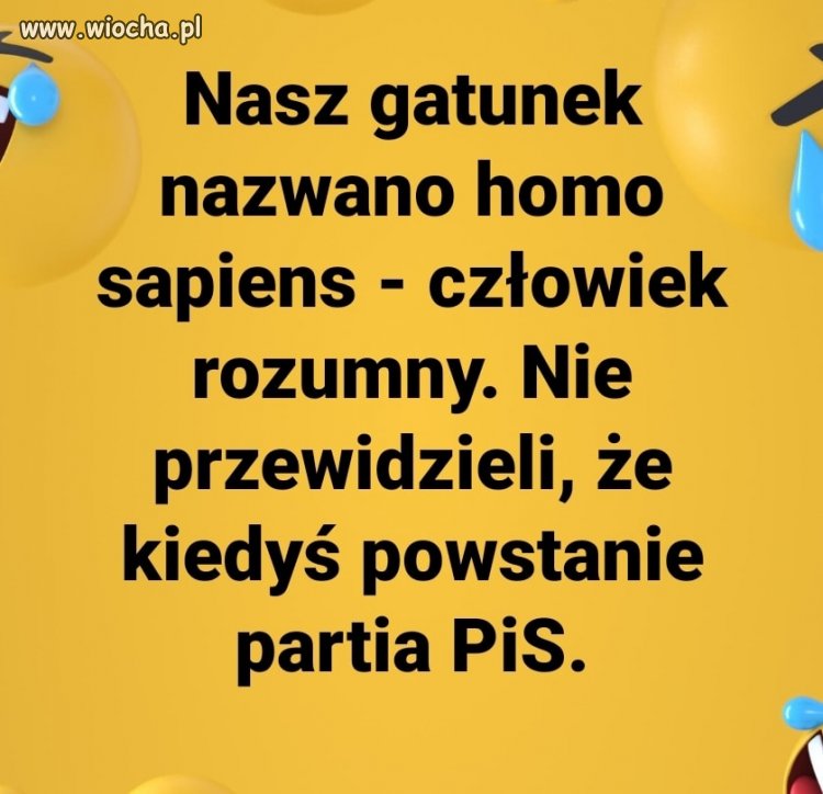 Nowy, dziwny gatunek