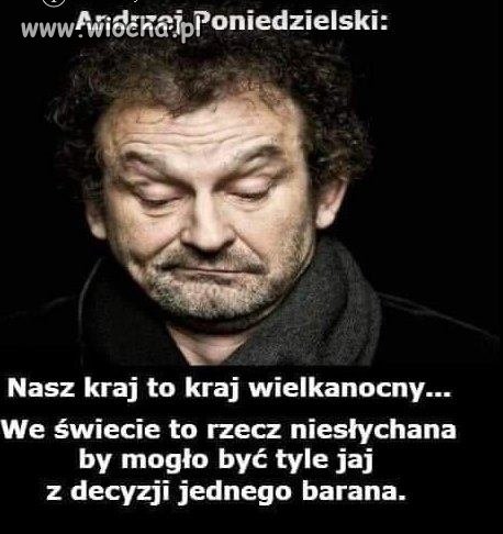 Refleksja