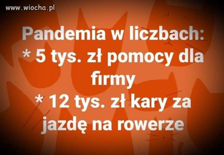 Pandemia w liczbach