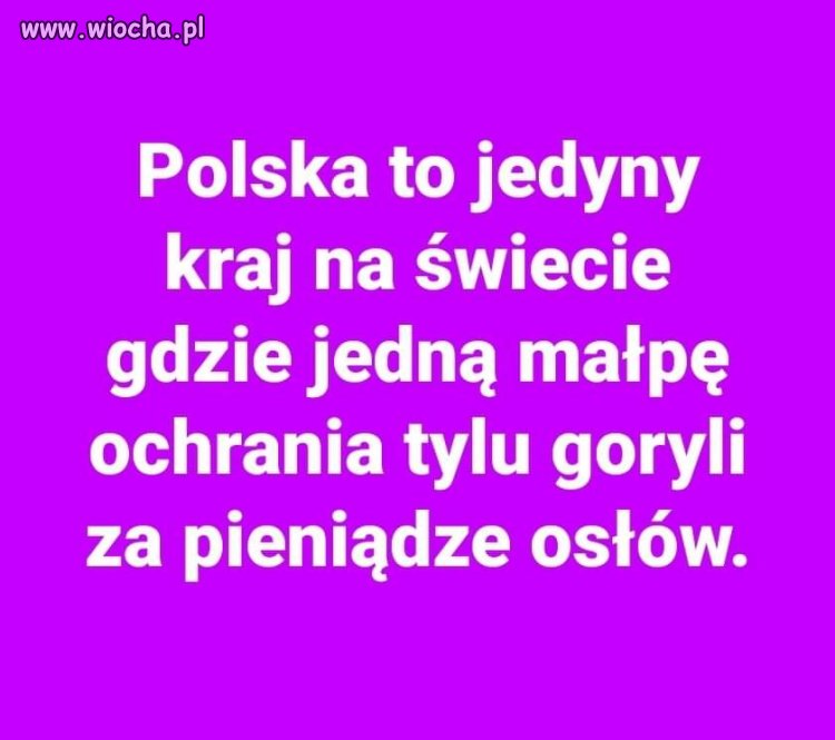 Coś w tym jest. 