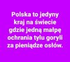 Coś w tym jest. 