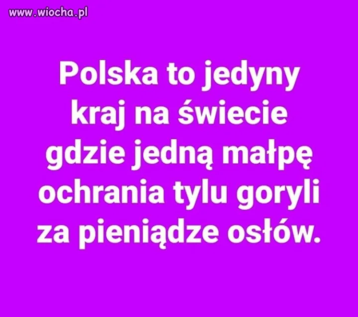 Coś w tym jest. 