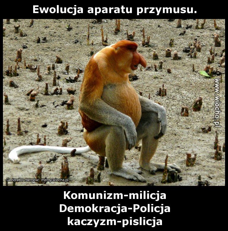 Ewolucja aparatu przymusu.